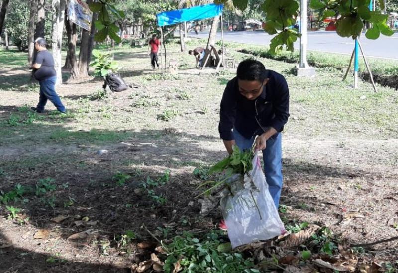 Tampak salah satu Kepala Bidang Diskominfosan Kota Bengkulu tengah melakukan kerja bakti.
