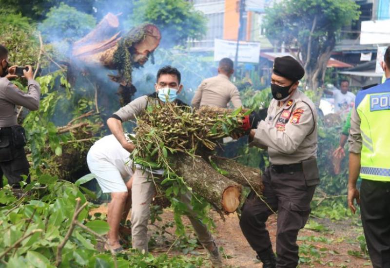 Badai Kencang Tumbangkan Pohon, Wawali Imbau Warga Waspada