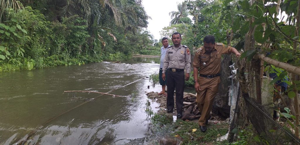 Bupati tengah meninjau sawah masyarakat yang nyaris gagal panen.