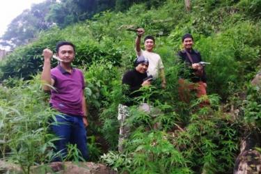 Penemuan ladang ganja.