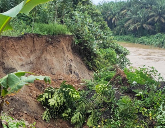 Bencana longsor yang terjadi di bibir sungai Air Manjunto.