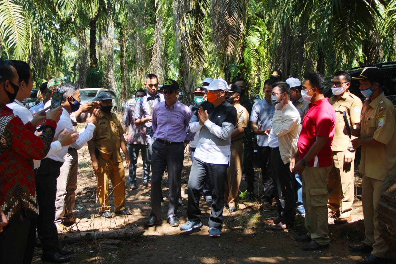 Rohidin Minta Program Replanting Sawit Didukung Semua Pihak
