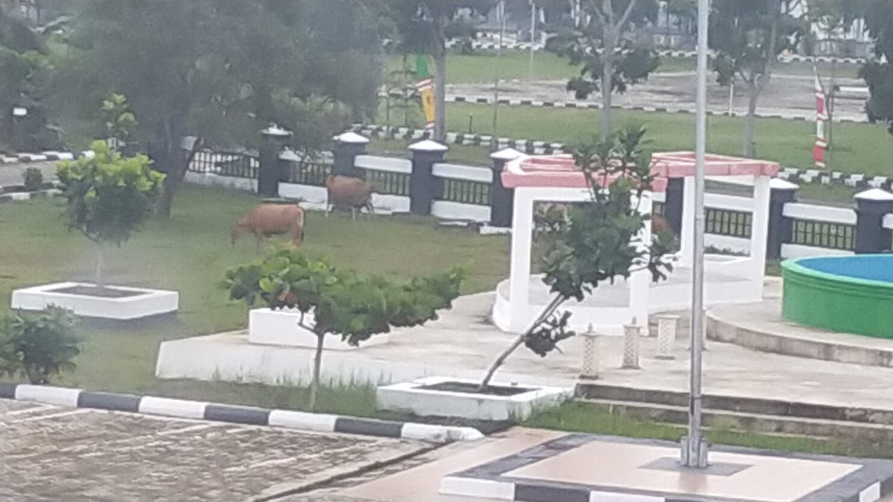 Kantor DPRD Mukmuko Kedatangan Tamu Tak Diudang