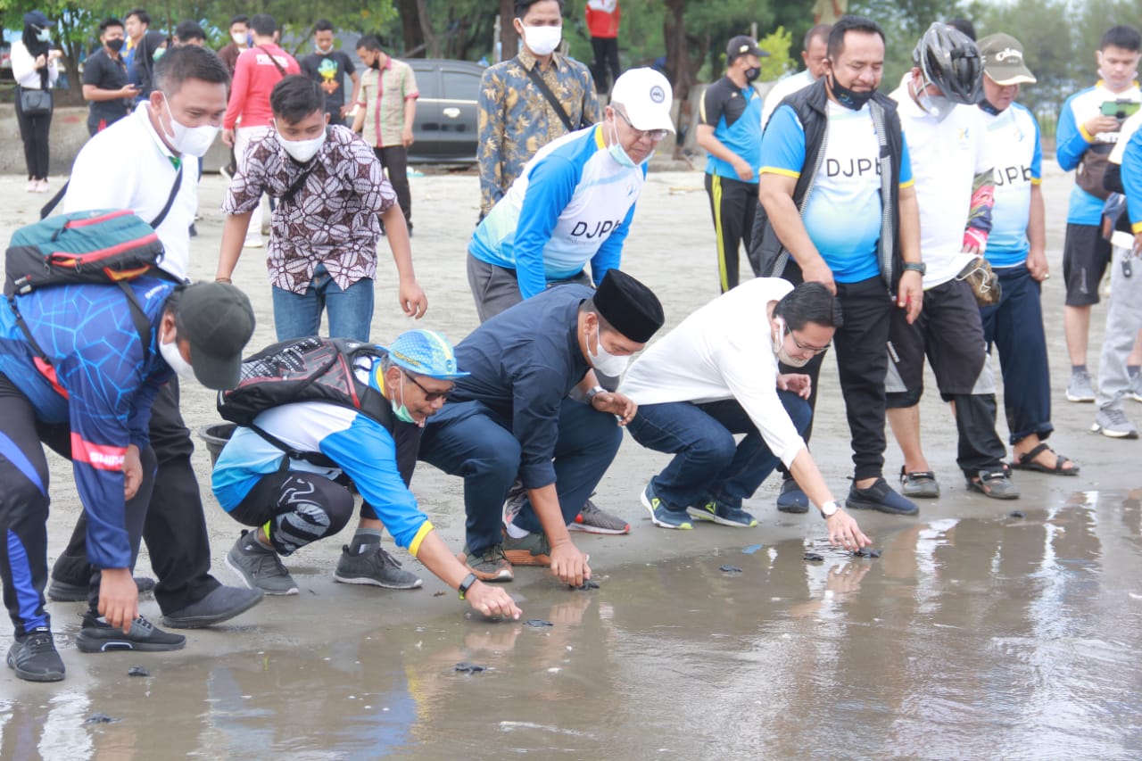 Peringati Hari Oeang ke-74, DJPB Bengkulu Lepas Penyu dan Tanam Pohon