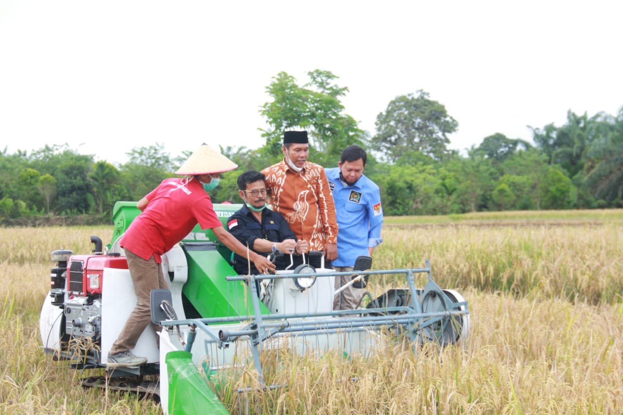 Bengkulu Disebut Berpotensi Jadi Lumbung Padi Nasional