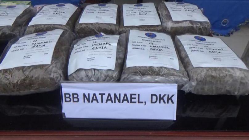 BNNP Bengkulu Musnahkan 20Kg Ganja Hasil Tangkapan Desember 2020