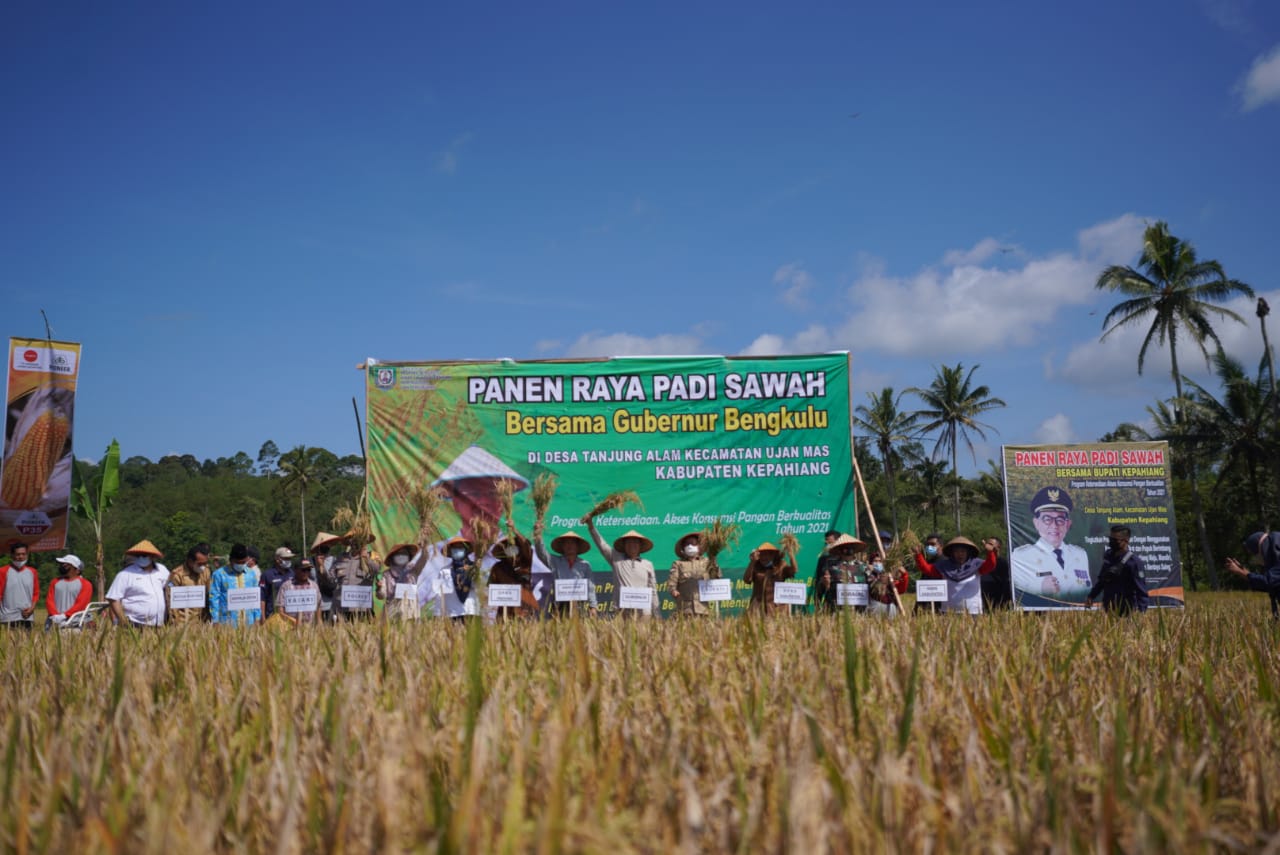 Panen Raya