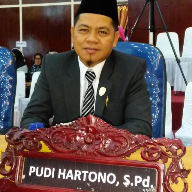 Pudi Hartono