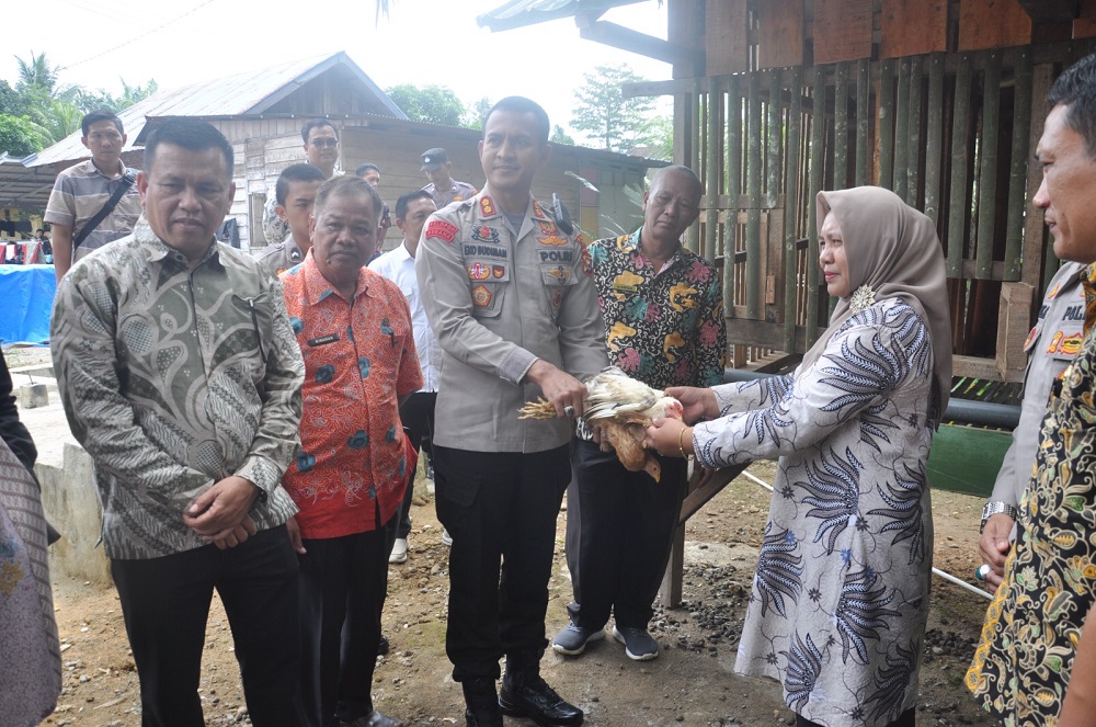 Kaur, Bengkulu - Dalam rangka Percepatan Penurunan Stunting di Kabupaten Kaur, Perwakilan BKKBN Provinsi Bengkulu bersama Polres Kaur dan Pemerintah Kabupaten Kaur bersinergi bersama untuk menanggulangi keluarga beresiko stunting di Kabupaten Kaur tepatnya di Desa Cuko Betung, Kecamatan Padang Guci Hulu, Kabupaten Kaur pada kamis, 2 Mei 2024 melalui penyerahan bibit ayam jenis Elba oleh Bapak Asuh Anak Stunting (BAAS) Kabupaten Kaur yaitu Kapolres Kaur, AKBP Eko Budiman S.IK., M.I.K., M.Si.  Selain bibit ay