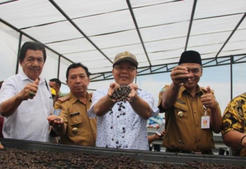 Gubernur Bengkulu Rohidin Mersyah.