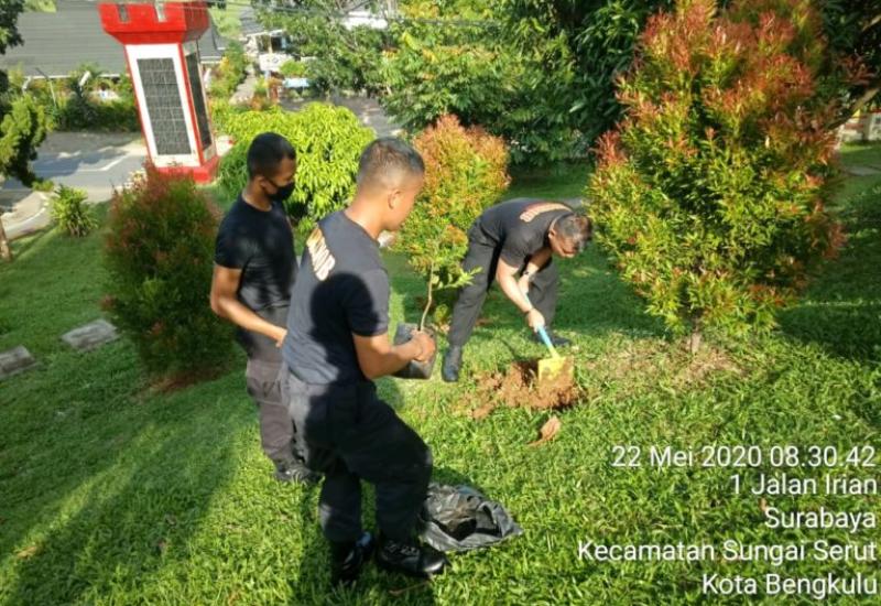 Cegah Covid-19, Sat Brimob Polda Bengkulu Tanam Ribuan Pohon