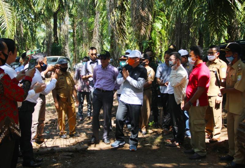 Rohidin Minta Program Replanting Sawit Didukung Semua Pihak