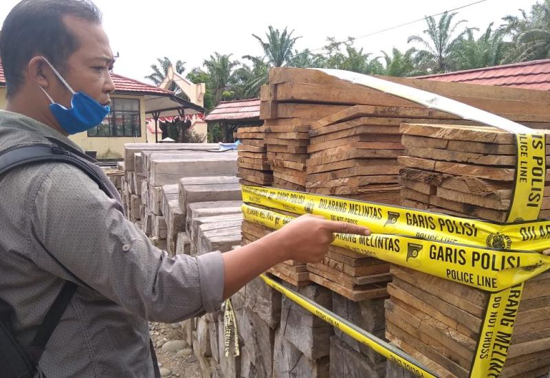 Polisi Buru Aktor Utama Illegal Logging di Kawasan Mukomuko