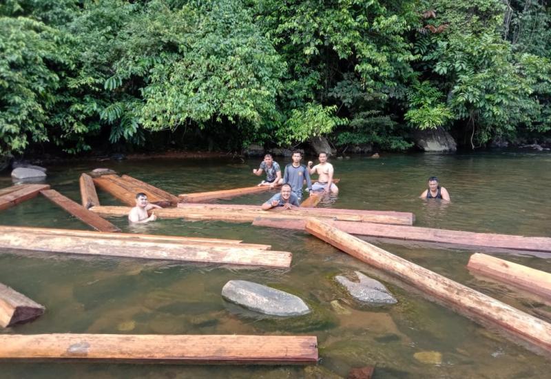 Diduga Hasil Illegal Loging, 5 Kubik Balok Kaleng Tak Bertuan Diamankan 