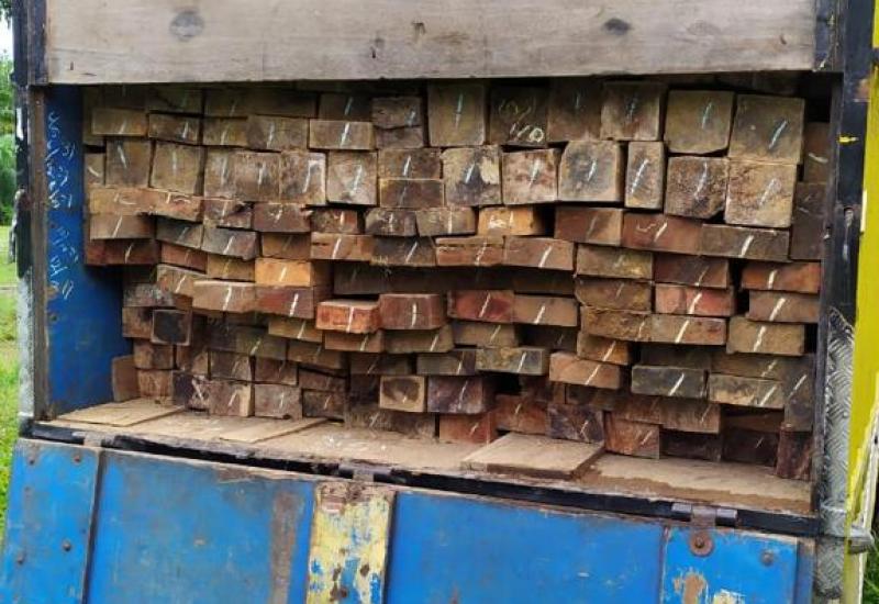 Angkut 9 Kubik Kayu Hasil Illegal Loging, Supir dan Kernet Truk Diamankan