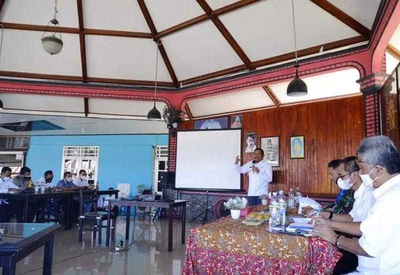 Pt sil