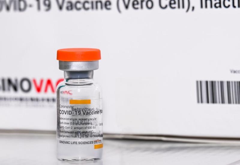 sinovac vaksin