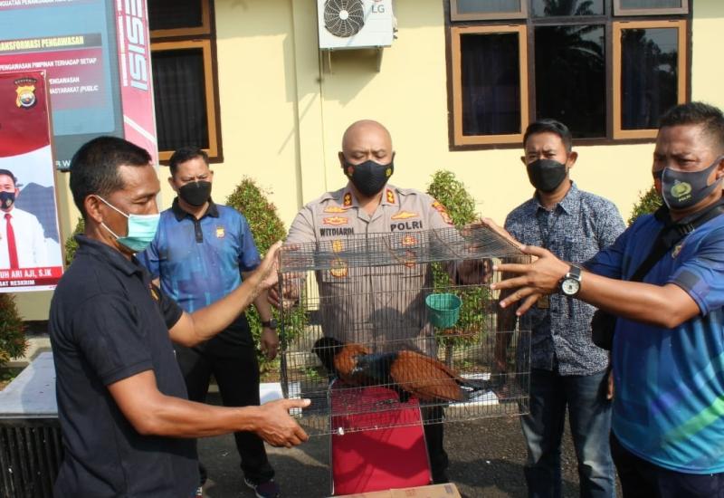 pengamanan