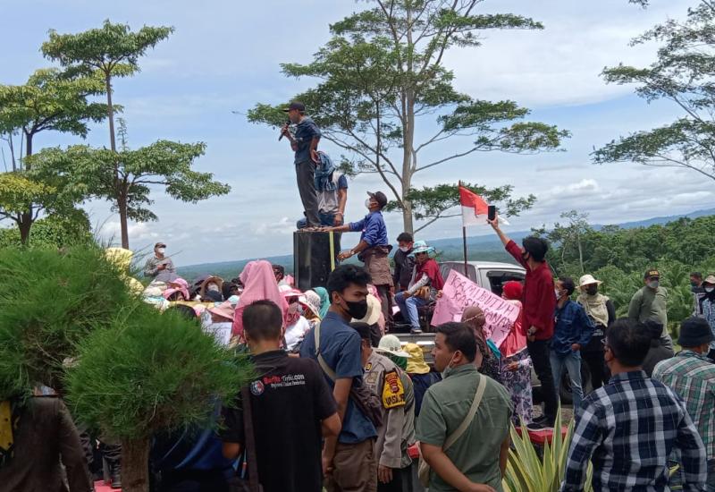 demo bupati seluma