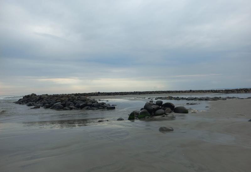 PT Tenaga Listrik Bengkulu (TLB) yang mengoperasikan Pembangkit Listrik Tenaga Uap (PLTU) Batubara telah menyebabkan suhu air laut di kawasan Pantai Teluk Sepang Kota Bengkulu naik menjadi 6 derajat Celcius.  Fakta tersebut  terungkap dalam hasil penelitian tentang Biaya Eksternal Industri Ekstraktif Batubara, yang dilaksanakan Kanopi Hijau Indonesia bersama para peneliti.  ‘’Suhu air laut di sekitar pembuangan limbah (outlet) dari PLTU Batubara Teluk Sepang yang dioperasikan PT TLB mencapai maksimal 36,5 d
